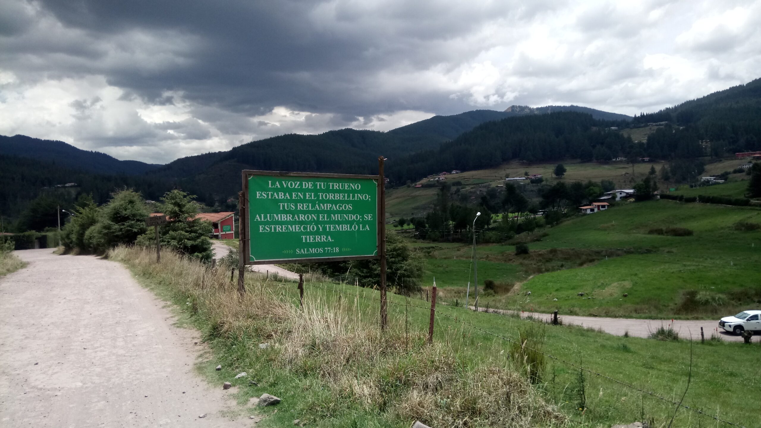 Das grüne Gold der peruanischen Berge